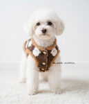 Ubranka dla psa miniaturowy pudel