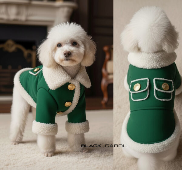 elegankie ubranko dla pieska